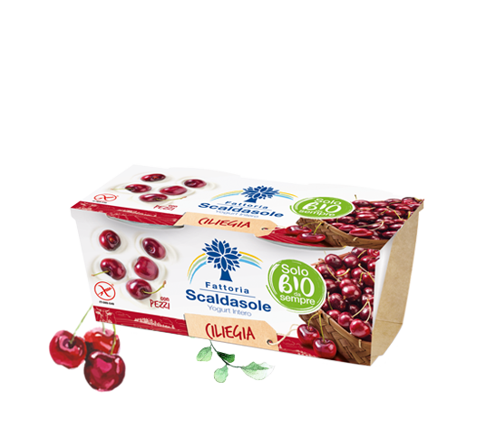 Yogurt Ciliegia
