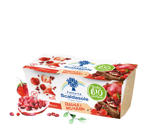 Yogurt Fragola e Melograno