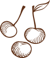 Ciliegia