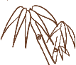 zucchero di canna