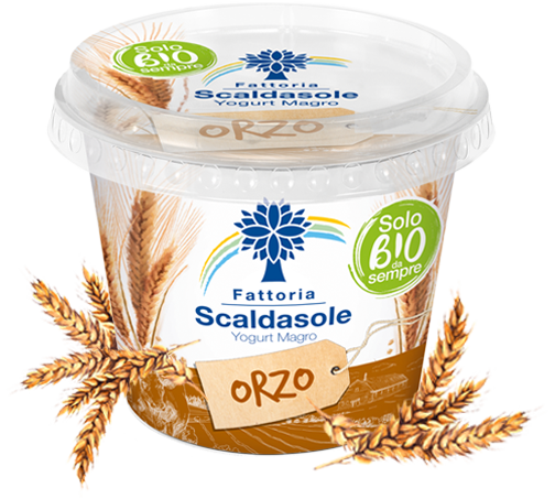 Yogurt Magro Orzo Biologico 250gr Fattoria Scaldasole