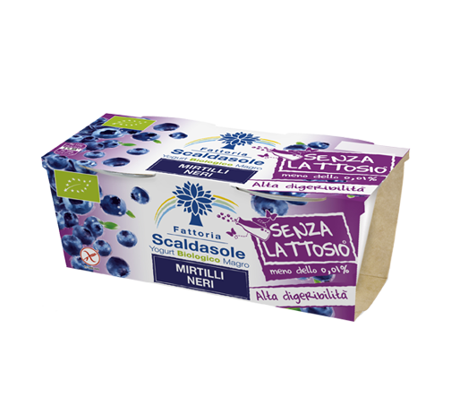 Confezione di Yogurt Senza Lattosio 125gr al Mirtillo Nero Biologico Scaldasole
