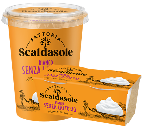 Bianco senza lattosio